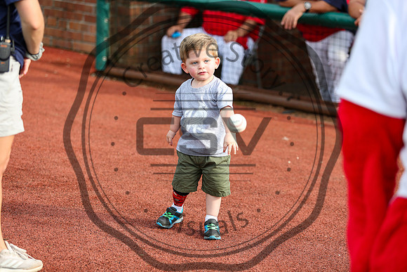 Greeneville Reds vs Johnson City Cardinals July 2, 2019
