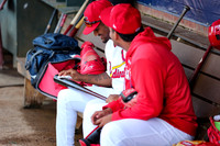 Greeneville Reds vs Johnson City Cardinals July 1, 2019