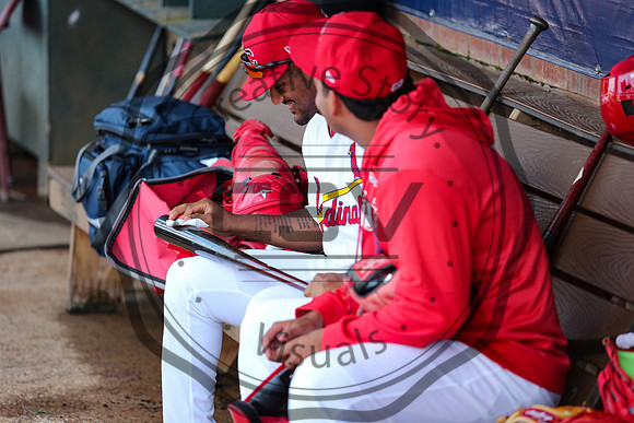 Greeneville Reds vs Johnson City Cardinals July 1, 2019