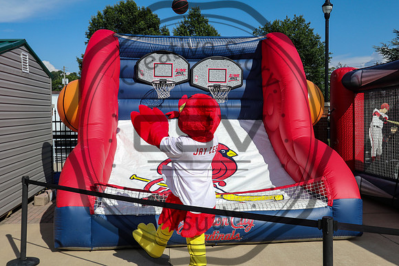 Greeneville Reds vs Johnson City Cardinals July 3, 2019