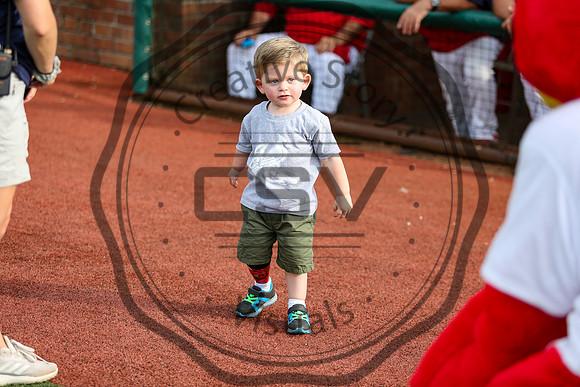 Greeneville Reds vs Johnson City Cardinals July 2, 2019