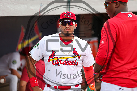 Greeneville Reds vs Johnson City Cardinals July 2, 2019