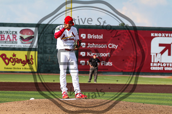 Greeneville Reds vs Johnson City Cardinals July 1, 2019