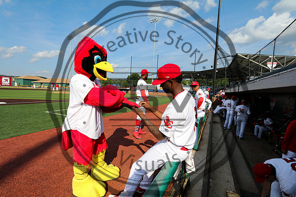 Greeneville Reds vs Johnson City Cardinals July 1, 2019